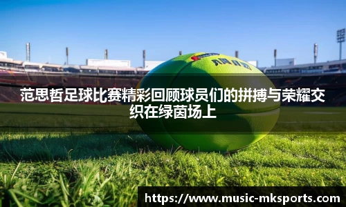 mk体育官方网站